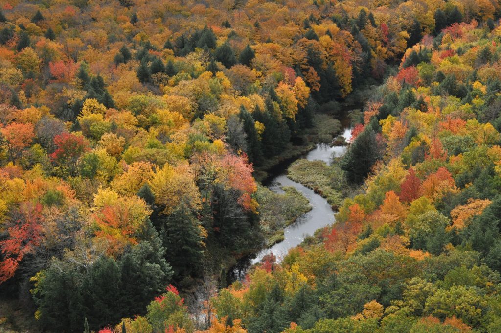 A view of the fall colors surrounding winding Big Carp River from the Lake of the Clouds overlook.